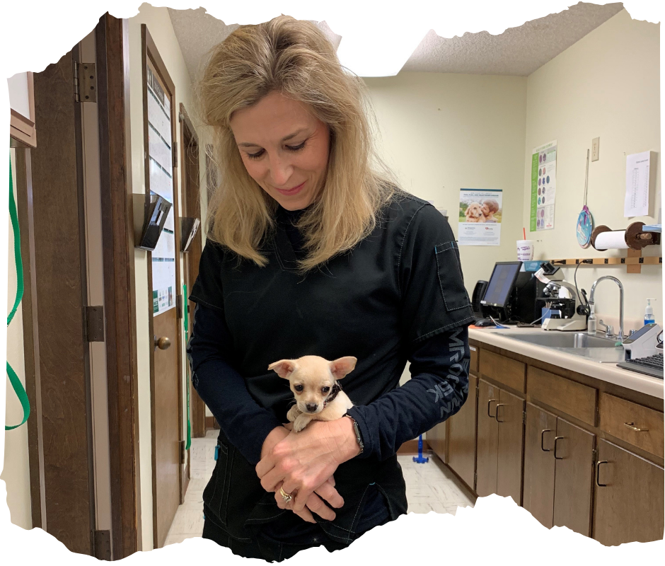 A person is holding dog's paw